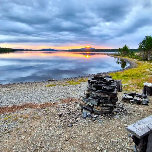Stenröse vid strand i solnedgång