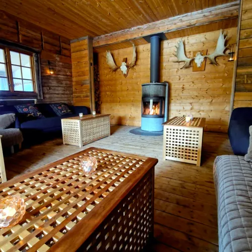 Sittgrupp med kamin och älghorn på väggen
