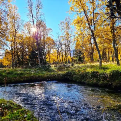 Fjällå i höstskrud