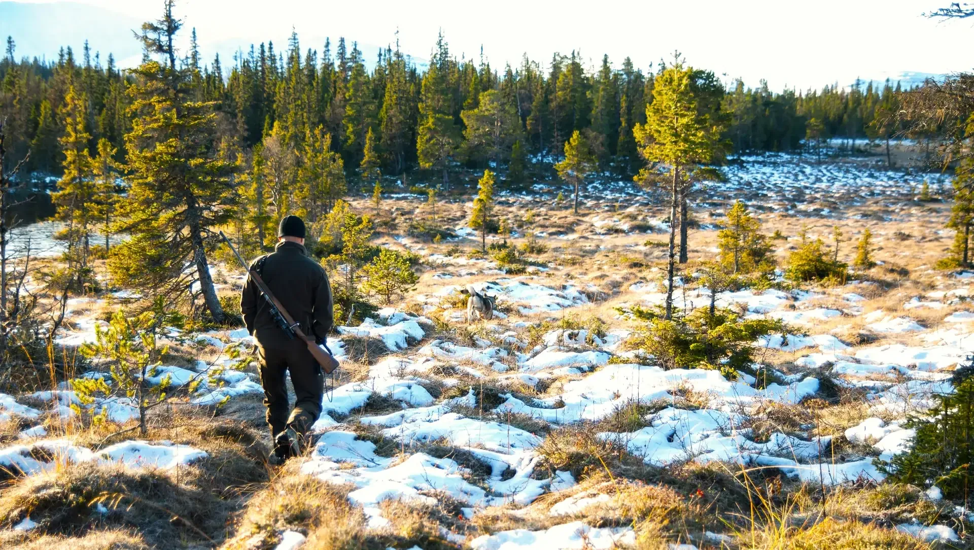 Älgjaktsmorgon i Anarisfjällen