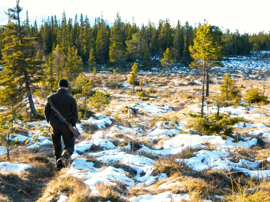 Älgjaktsmorgon