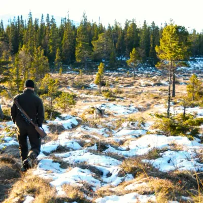 Älgjakt med hund i förstasnö