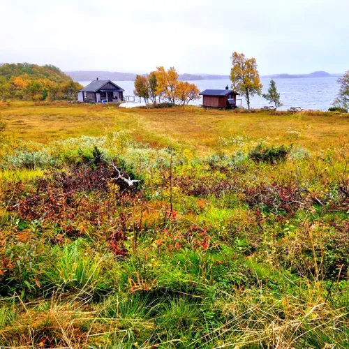Två stugor i höstfärgad myrmark vid sjön
