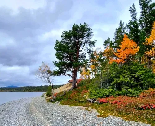 Sjöstrand i höstfärger