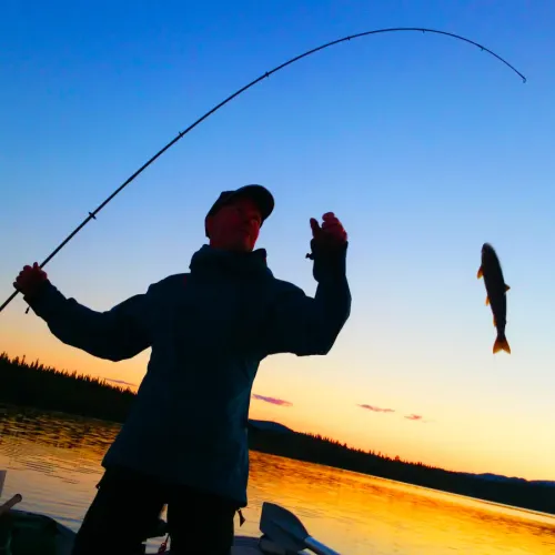 Silhuett av fiskare som drar upp hoppande fisk