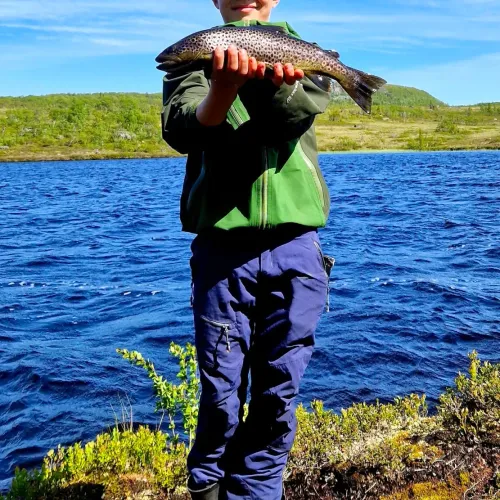 Pojke visar öring vid blå fjällsjö