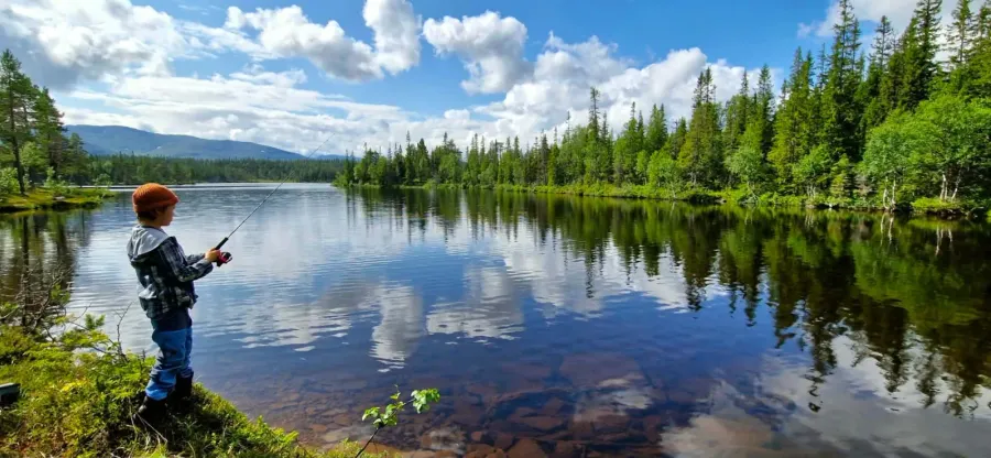 Pojke fiskar från stranden vid stilla fjälltjärn