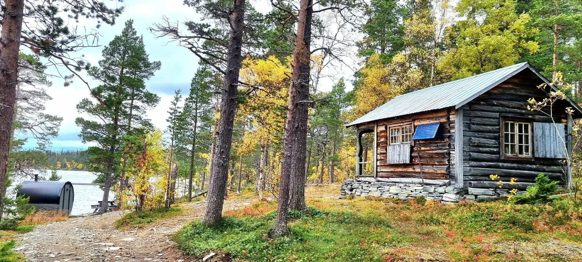 Fjällfurans stuga i skogen