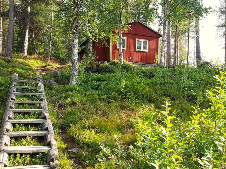 Trätrappa upp till Furubergskojan i skogen