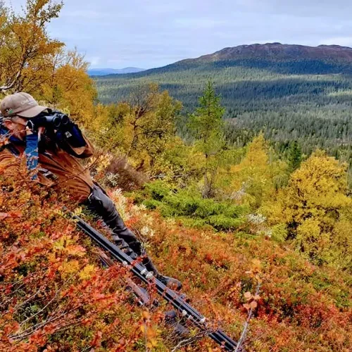 Jägare spanar med kikare över skogslandskapet
