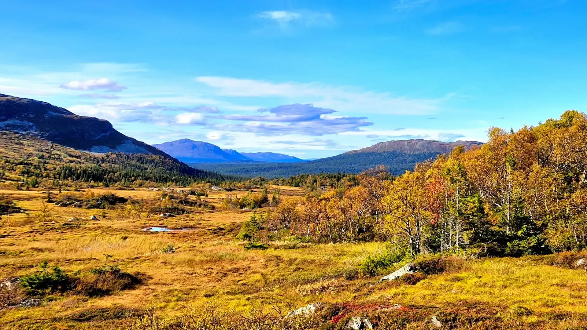 Jakt i Anarisfjällen
