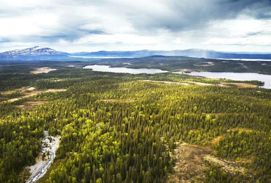Flygfoto över sjöar och skogsmark i Anarisets jaktmarker