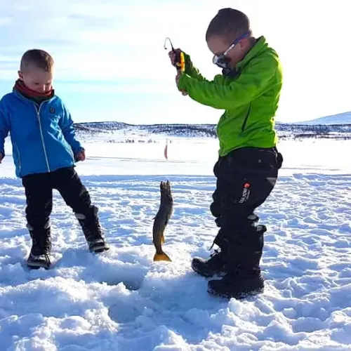 Pojkar beundrar fångad fjällfisk vid isfiske